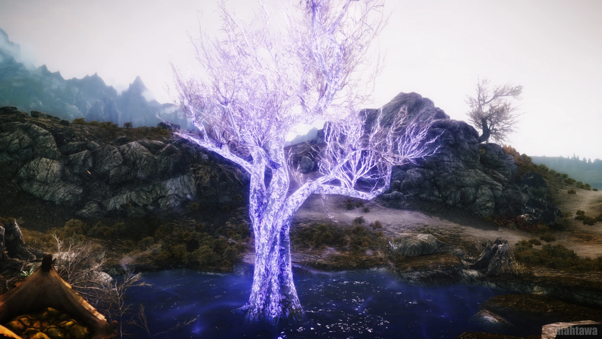 Magic Tree at Skyrim Nexus - Mods and Community