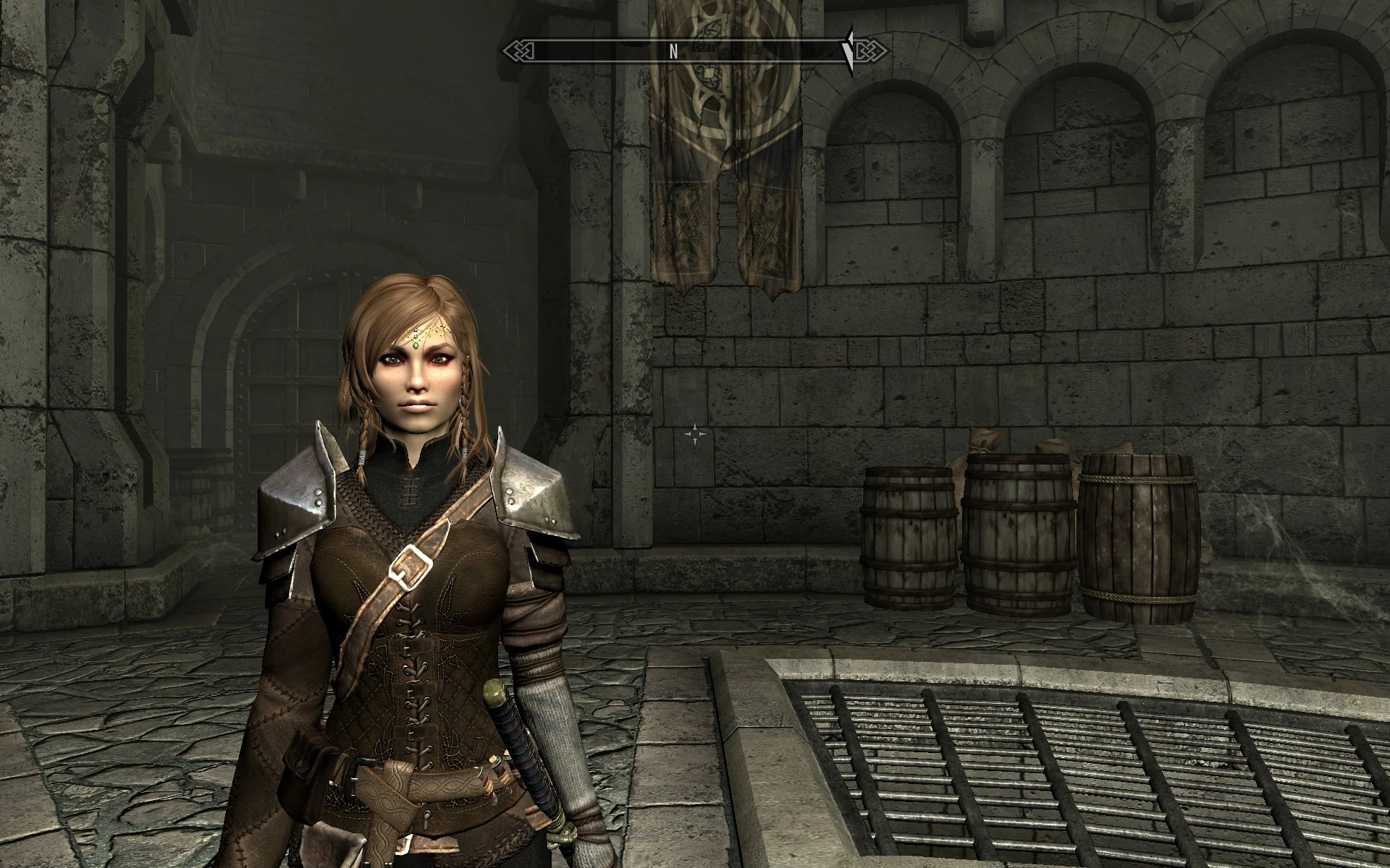 New Recruit At Dawnguard At Skyrim Nexus Mods And Community   45061 1430419124 