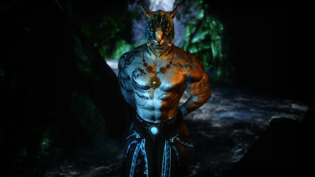 Skyrim muscle. Скайрим аргониане muscle. Скайрим muscular Khajiit. Skyrim Argonian body. Argonian muscle man Mod.