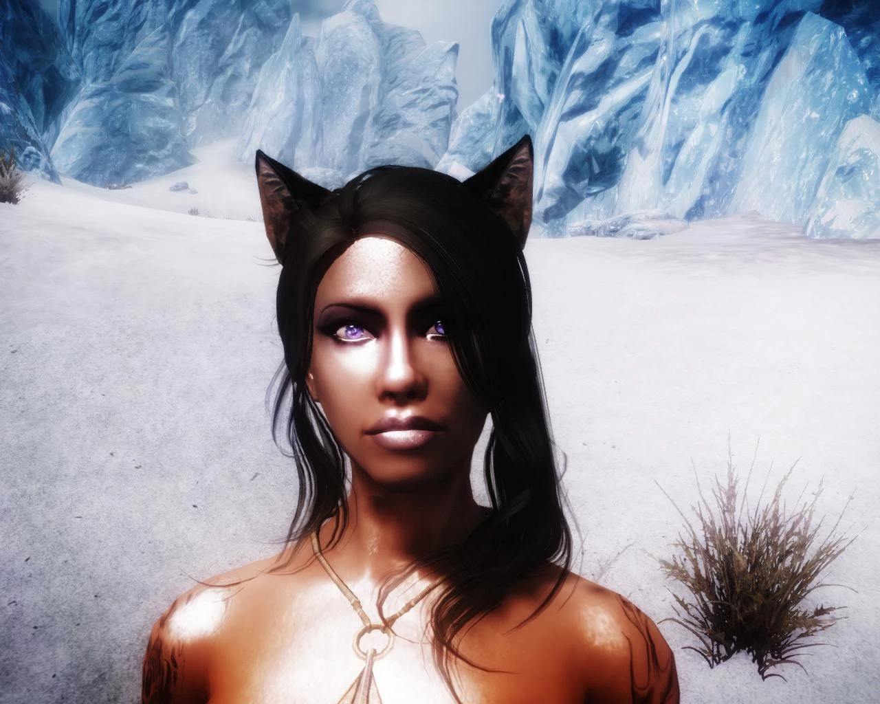 Temptress Race At Skyrim Nexus Mods And Community