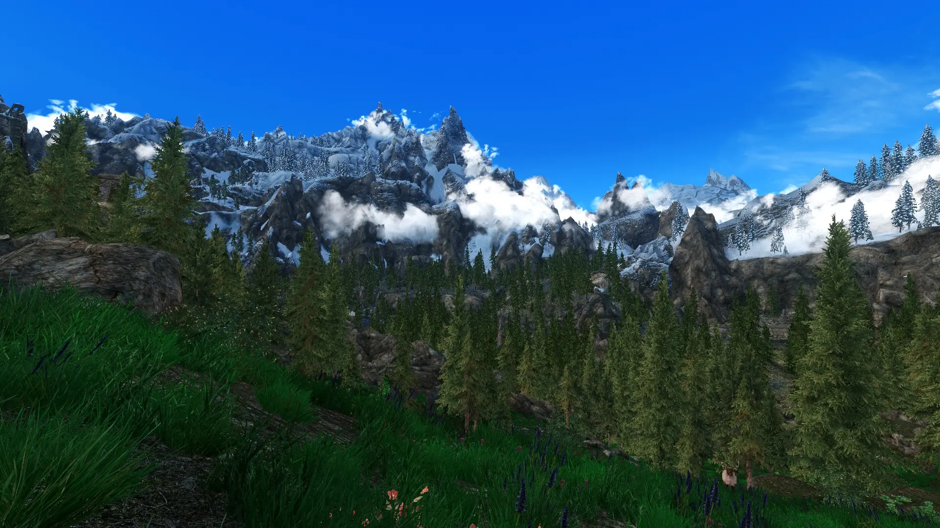 DynDOLOD Ultra Trees Test At Skyrim Nexus - Mods And Community