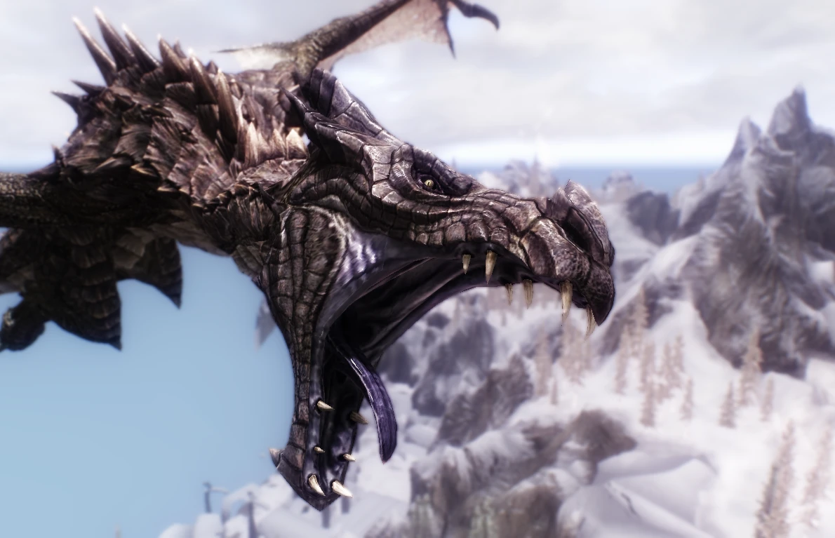 The Dragon at Skyrim Nexus - Mods and Community