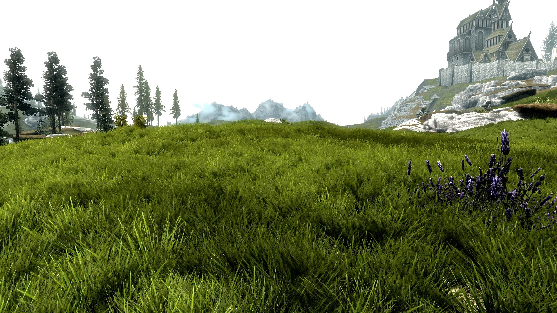 Skyrim se grass mod