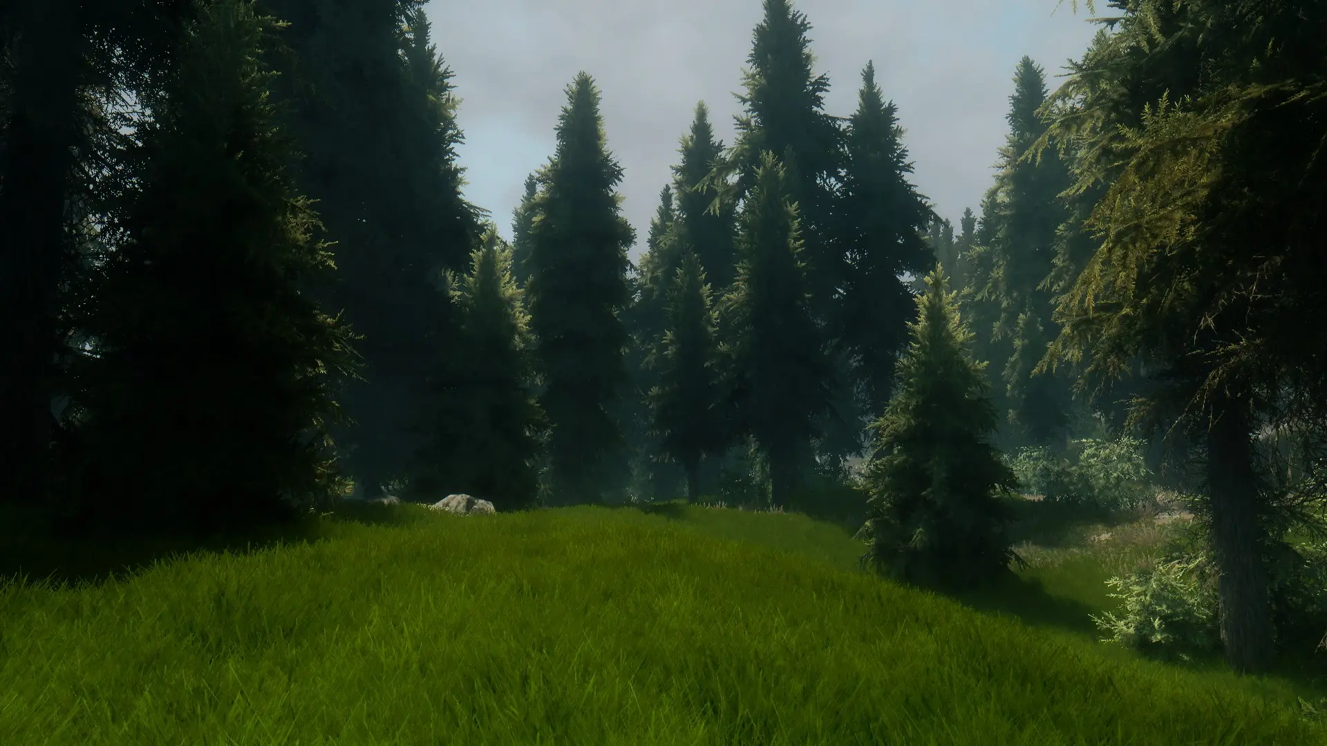 Dat Grass Enb Test At Skyrim Nexus - Mods And Community