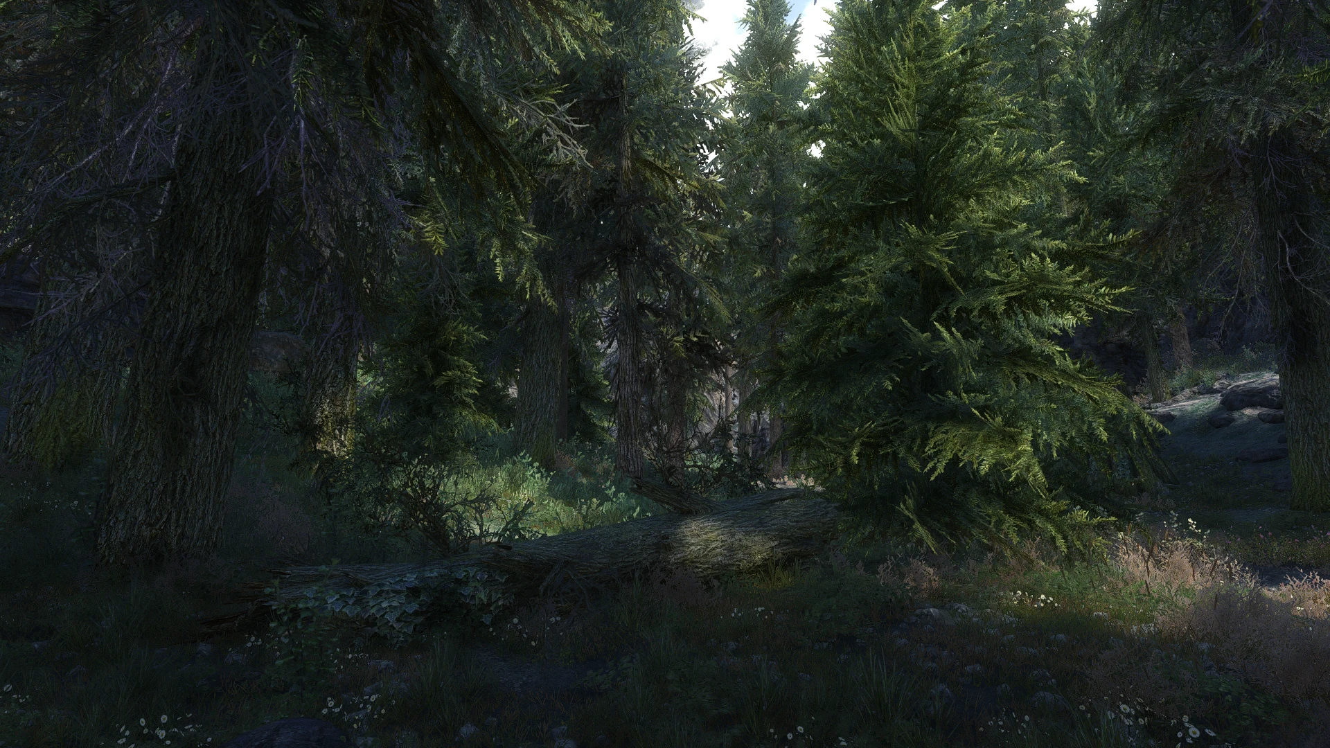 Nature at Skyrim Nexus - Mods and Community