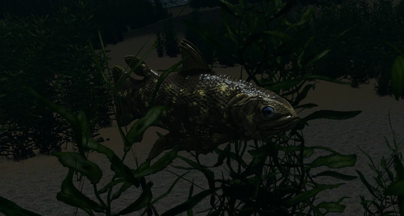 Coelacanth at Skyrim Nexus - Mods and Community