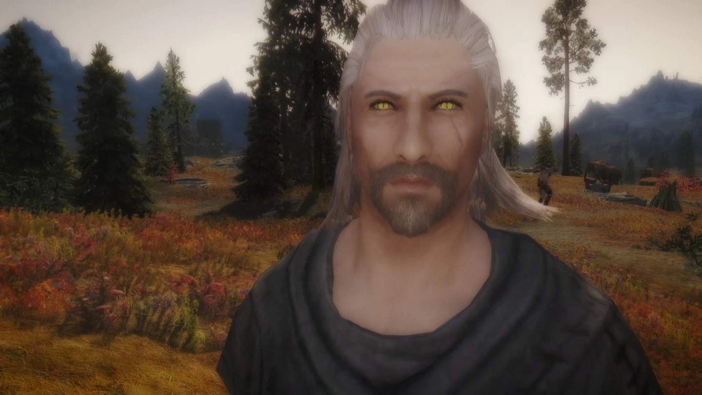 good smile geralt