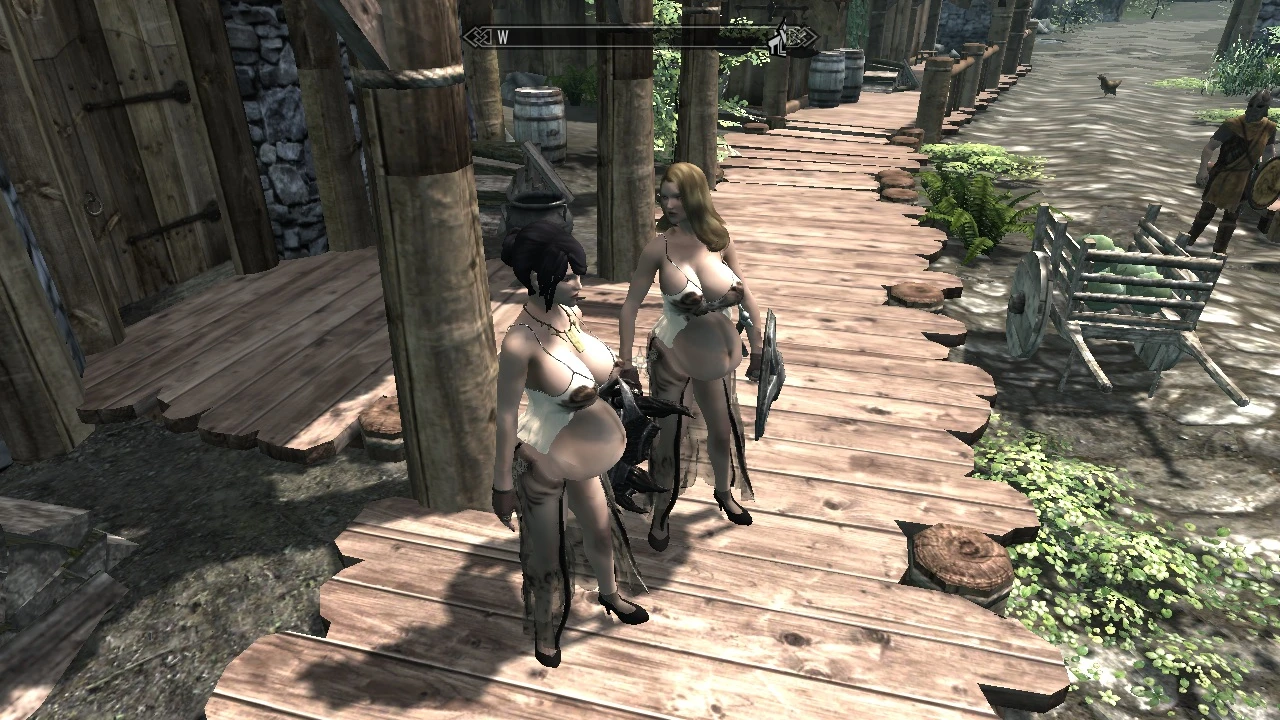 Pregnant And Sexy At Skyrim Nexus Mods Community.