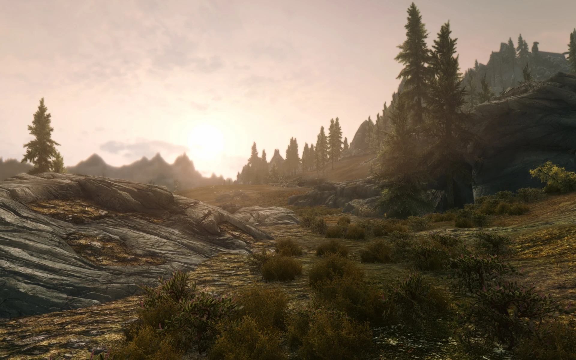 mount and blade wiki background