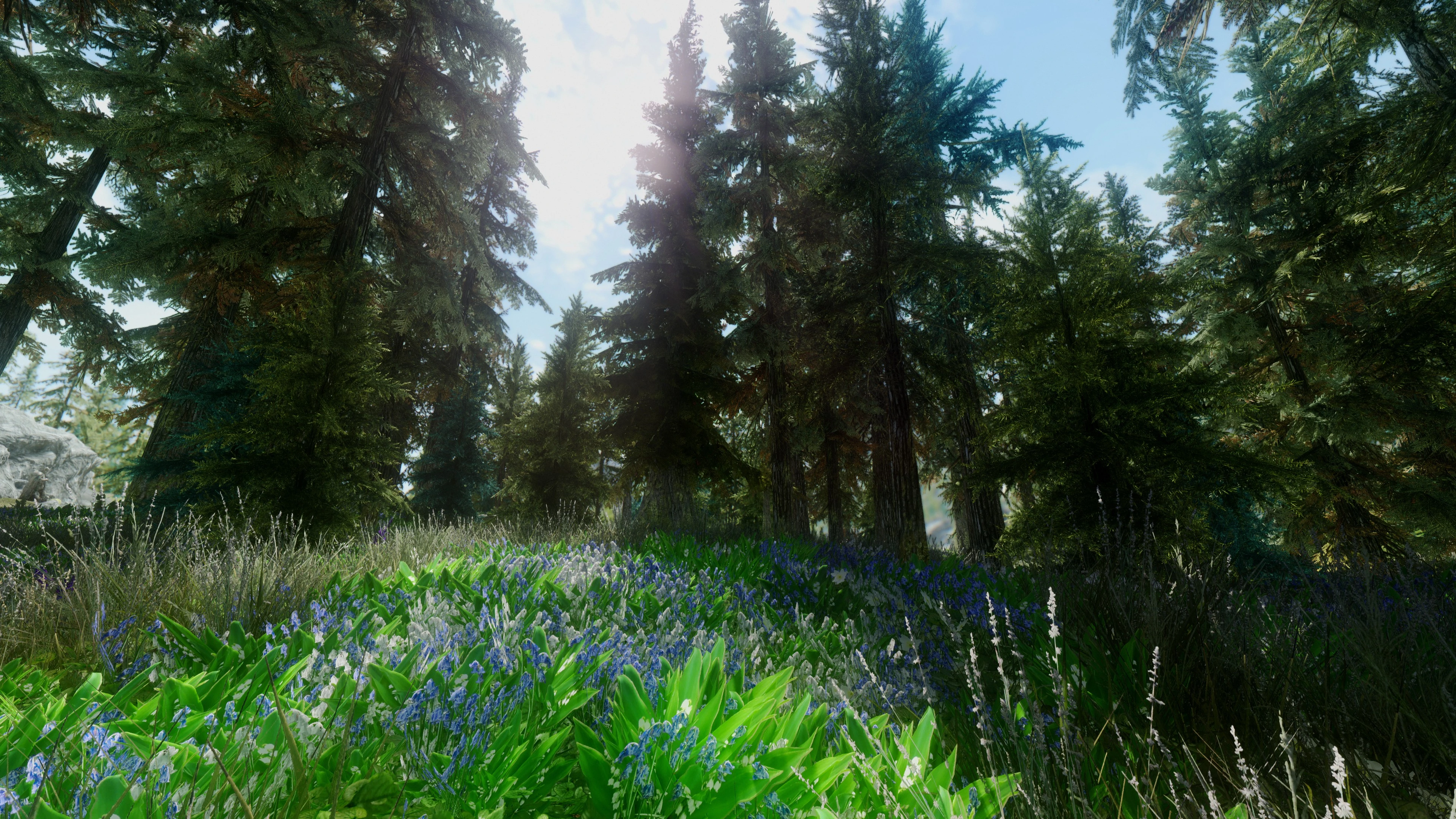 Aeon ENB 4K at Skyrim Nexus - Mods and Community