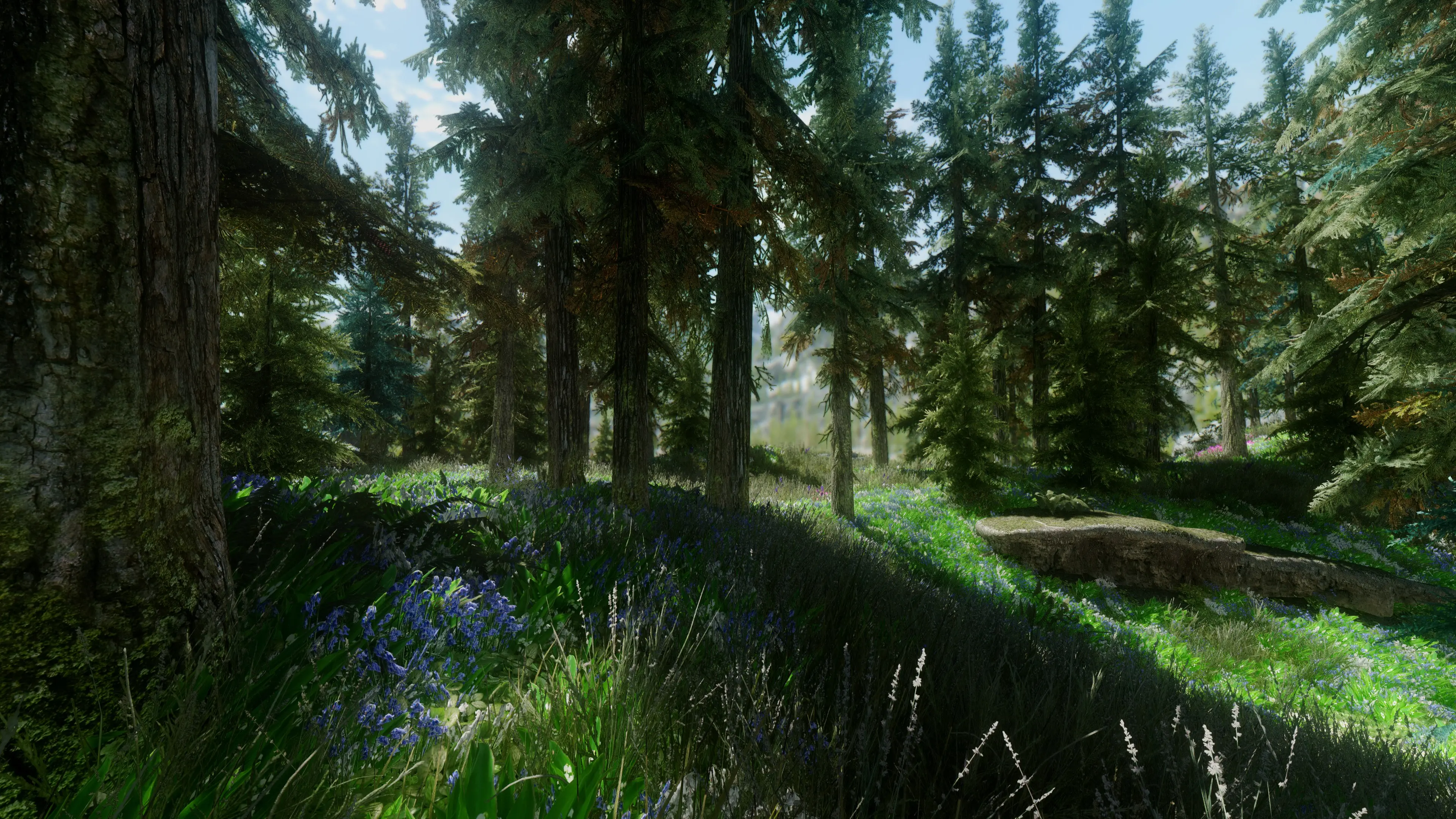 Aeon ENB 4K at Skyrim Nexus - Mods and Community