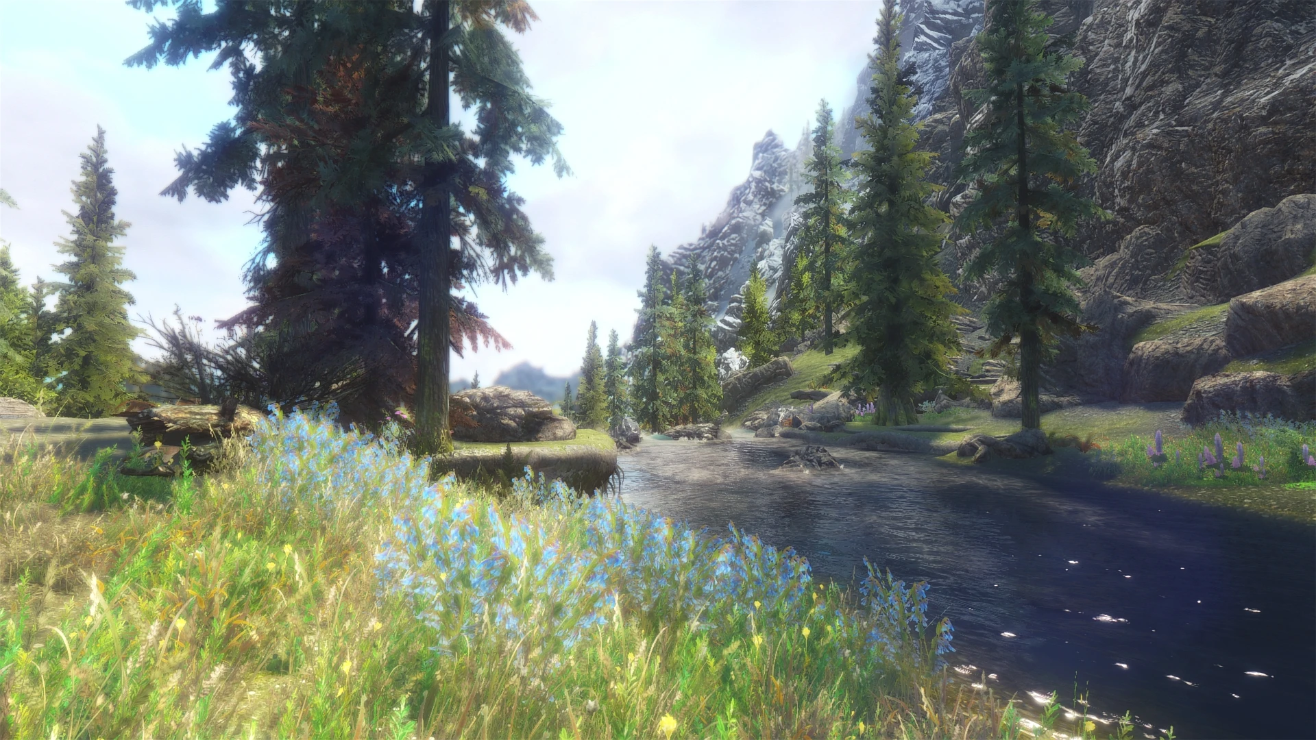 skyrim special edition flora overhaul skyrim special edition flora overhaul