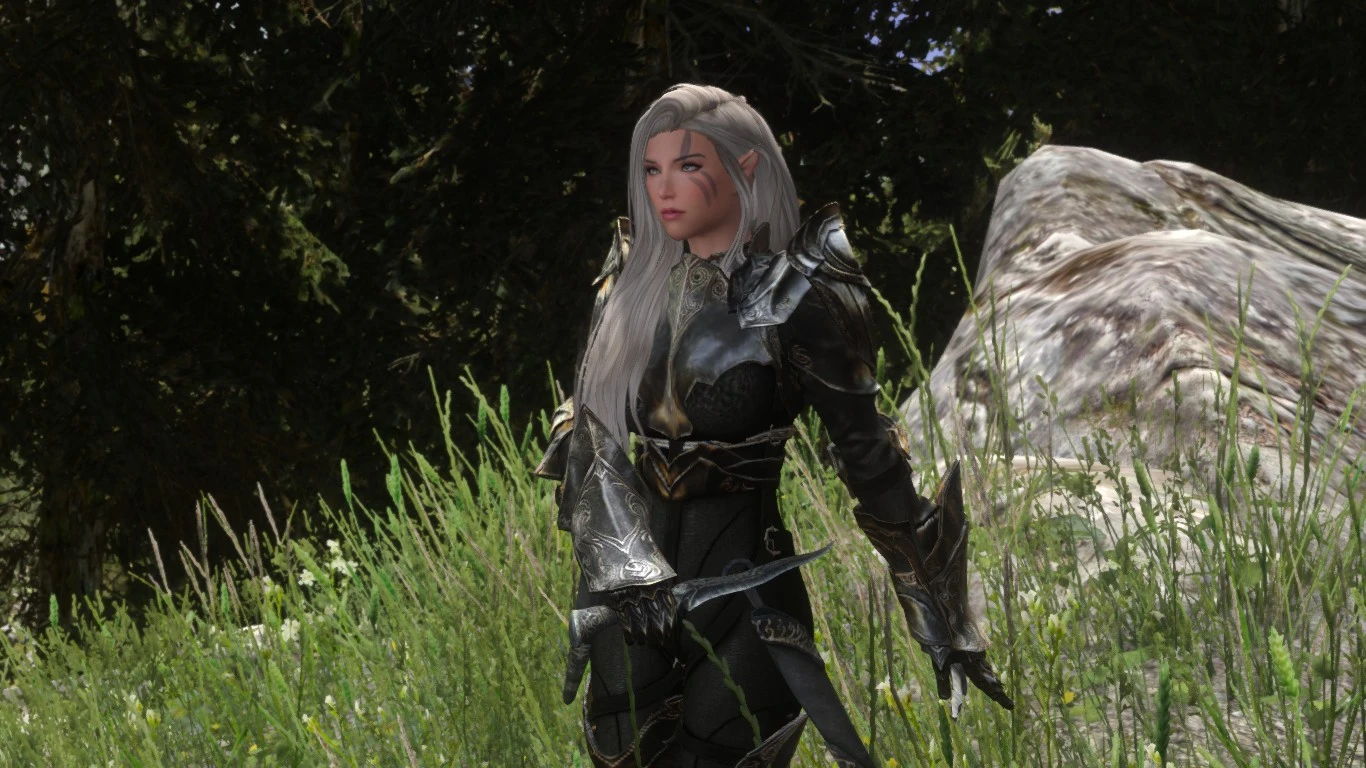 Ebony armor at Skyrim Nexus - Mods and Community