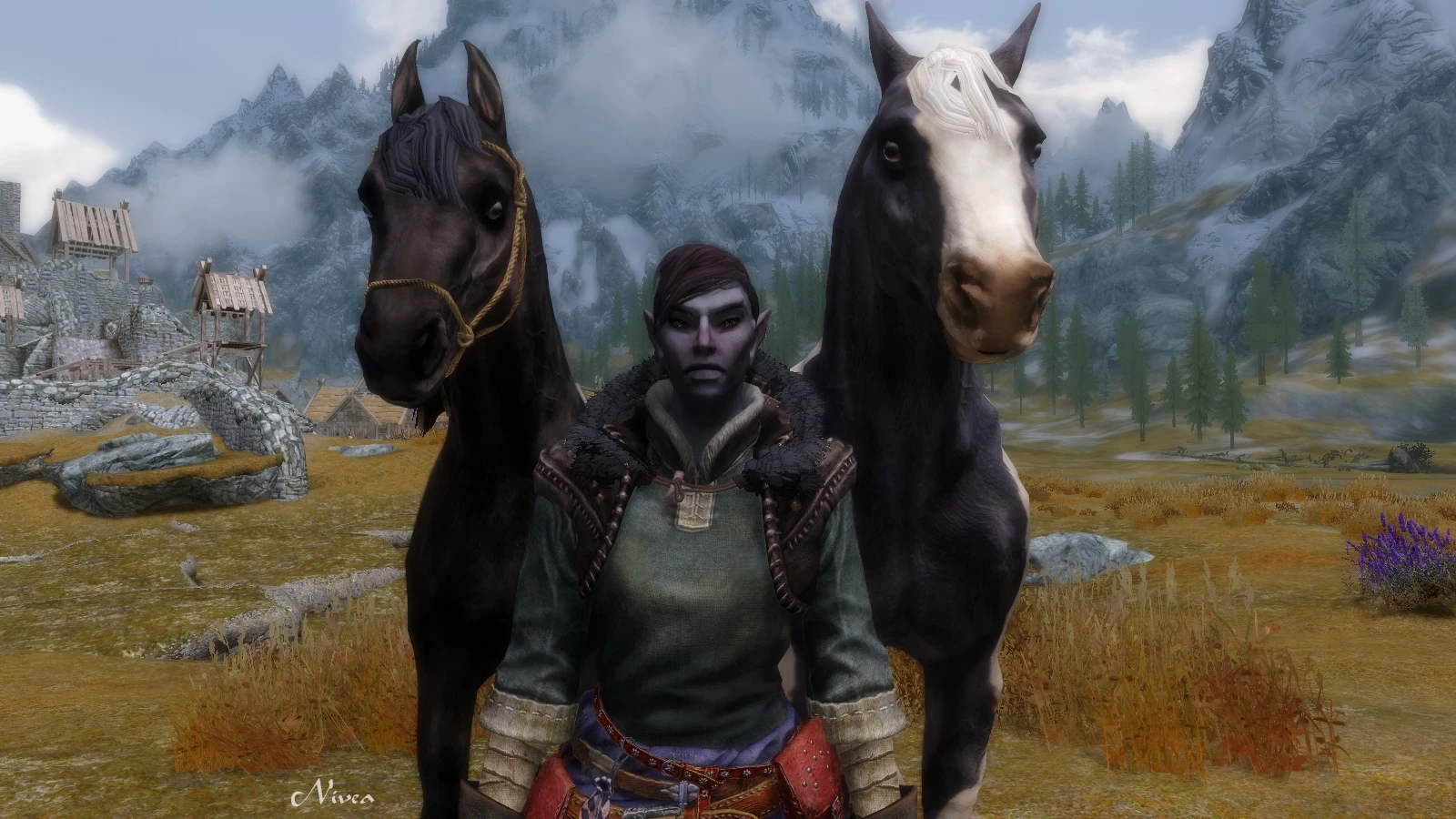 skyrim horses for followers