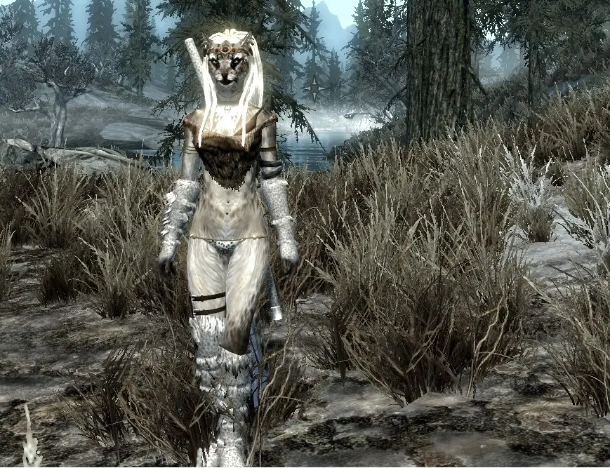 skyrim dimonized unp female body mod