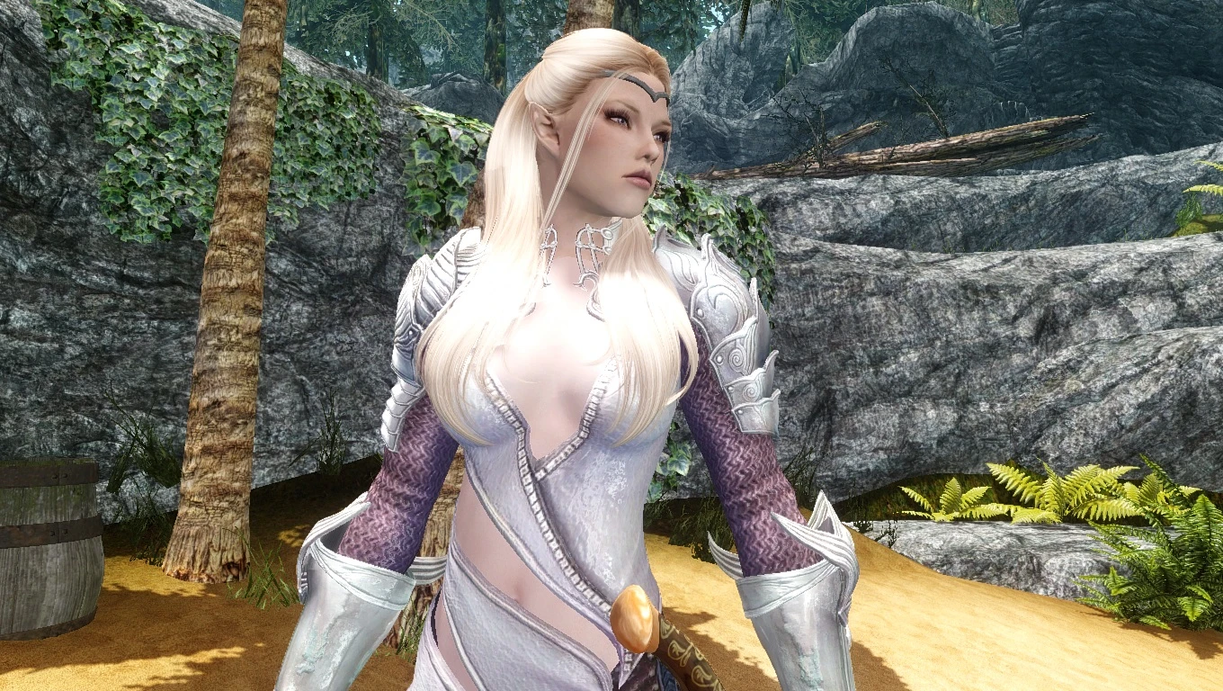 Auriel High Elf Follower At Skyrim Nexus Mods And Community