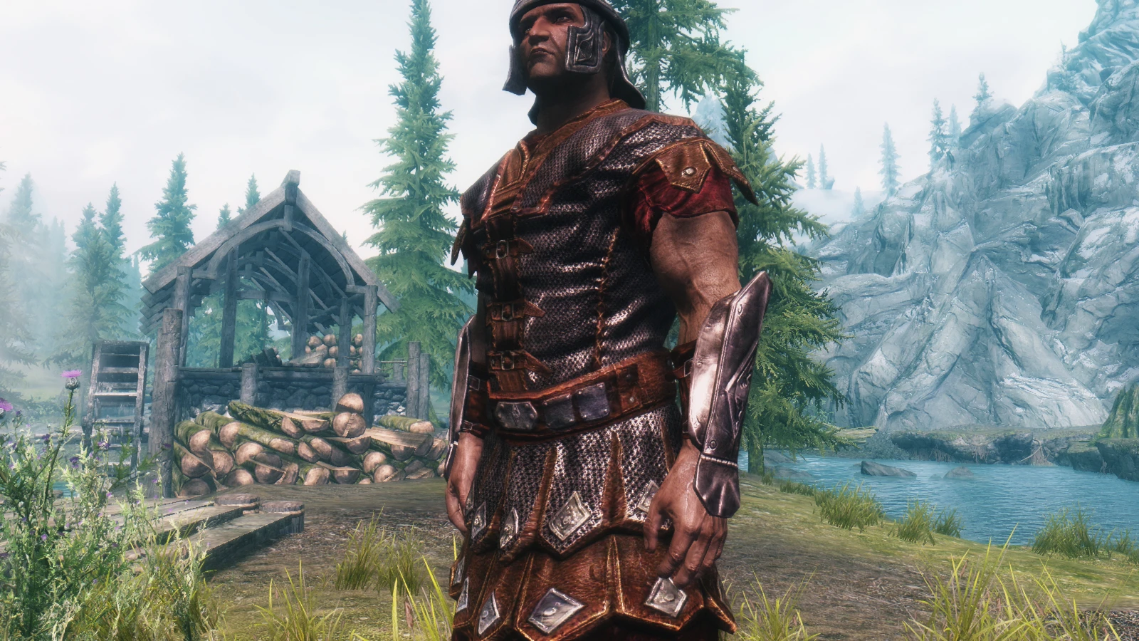 Imperial Medium Chainmail Armor At Skyrim Nexus Mods And Community
