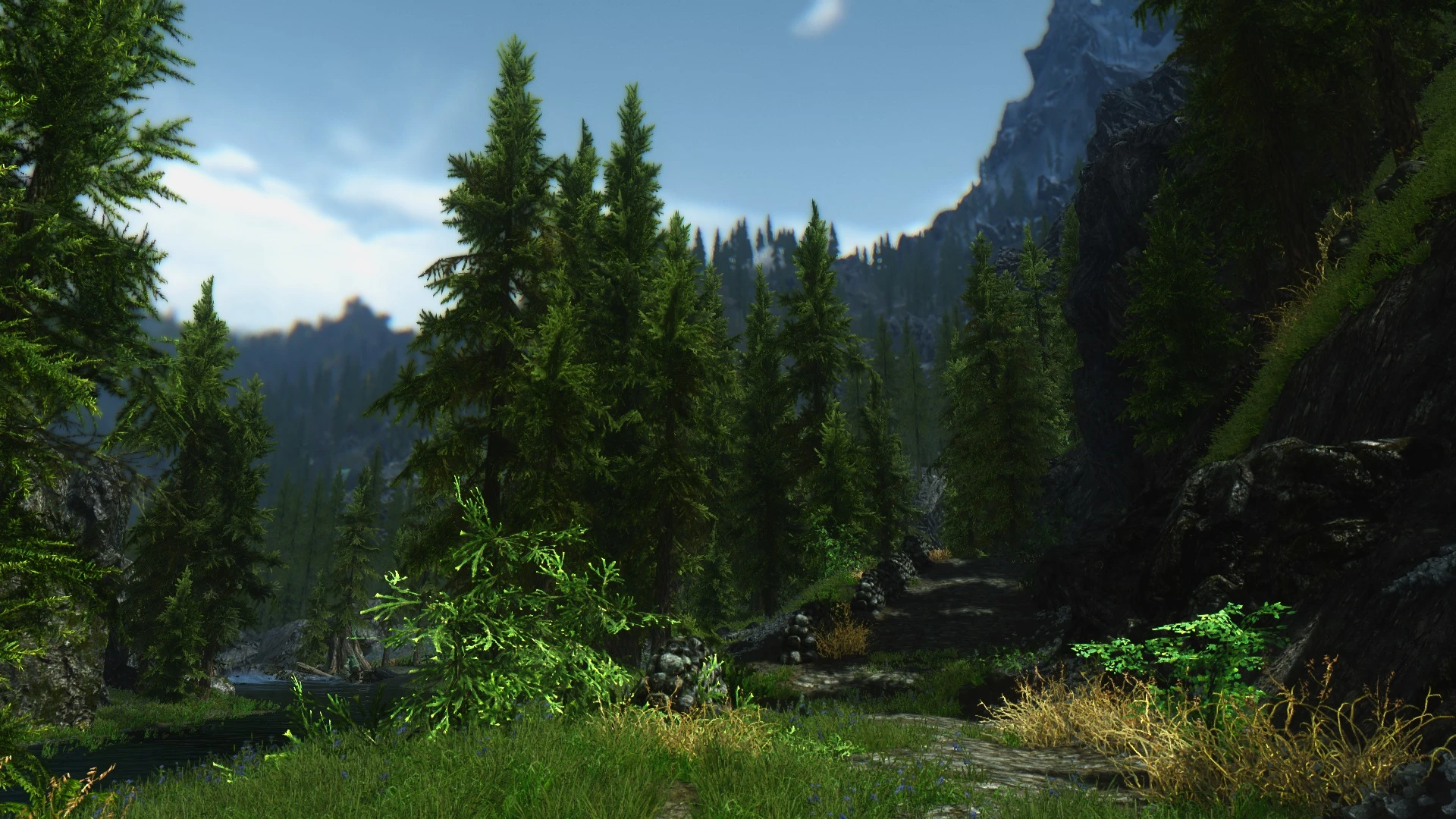 Environmental at Skyrim Nexus - Mods and Community