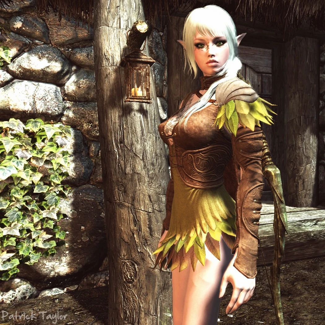 melissa dark elf follower at skyrim special edition nexus mods and.