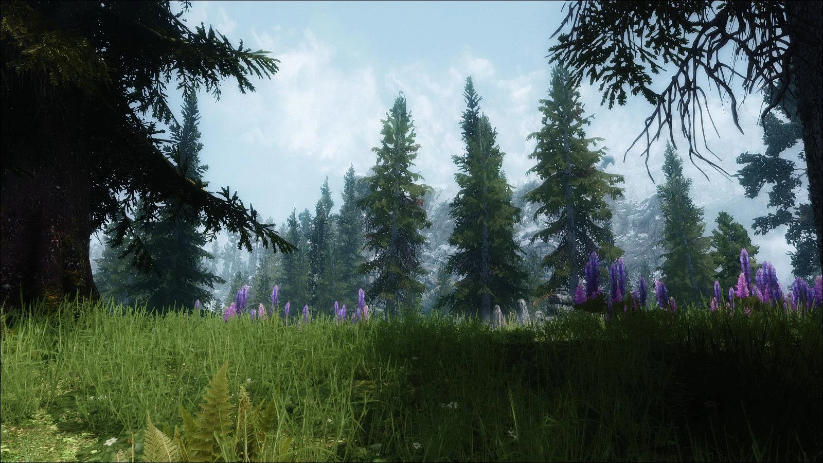 best landscape mods skyrim
