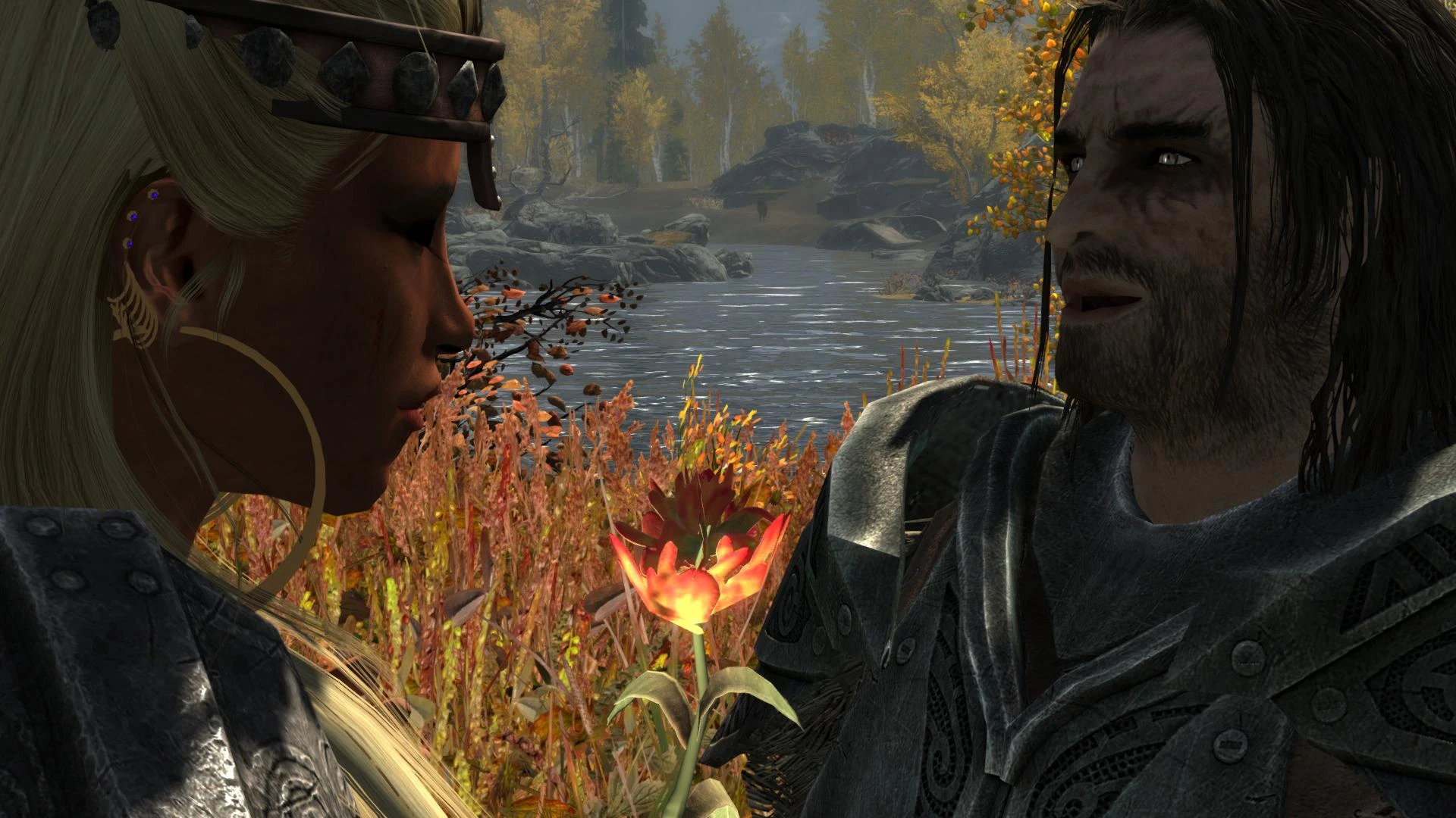 Companions At Skyrim Nexus Mods And Community