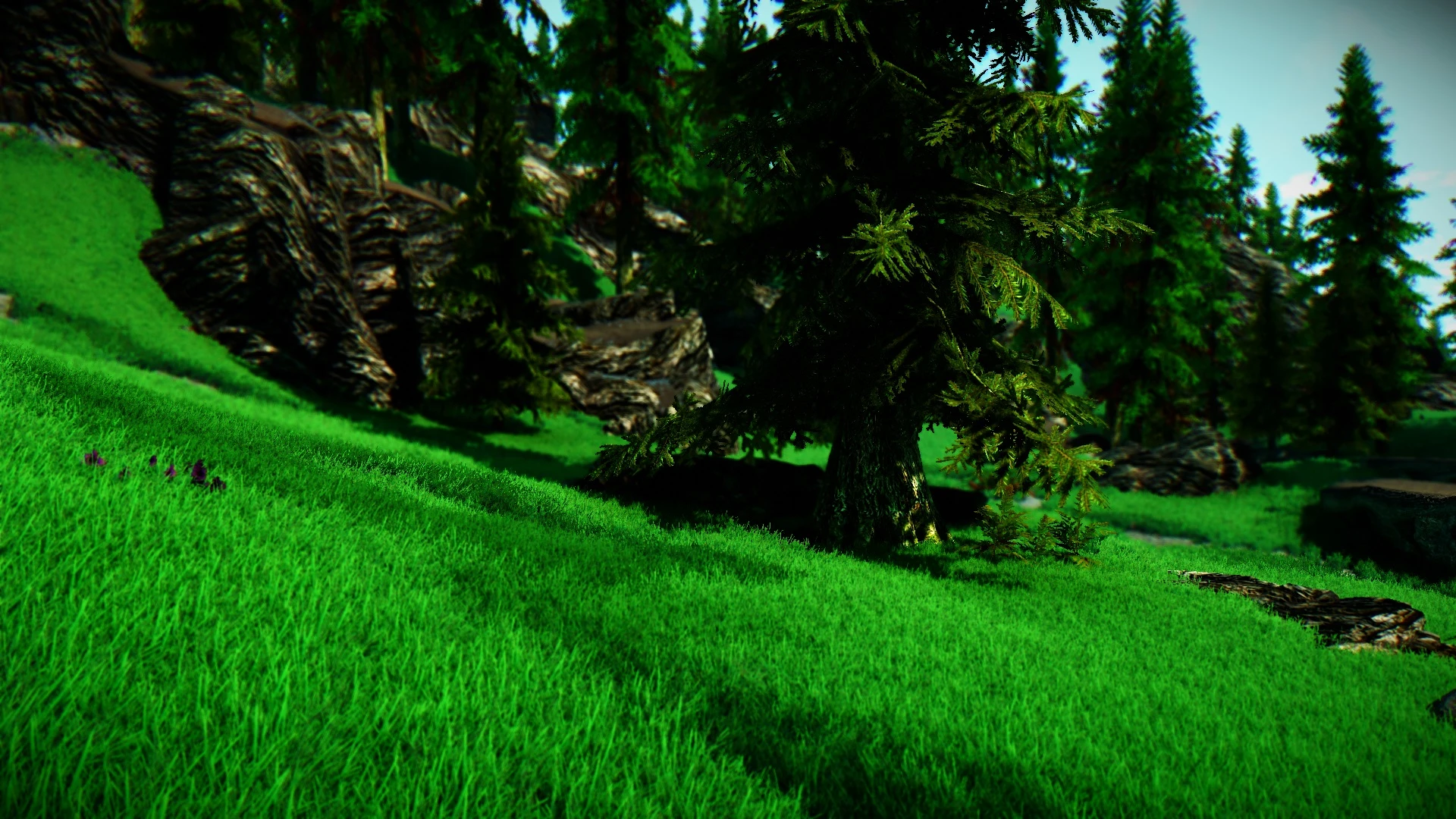 best grass mod skyrim