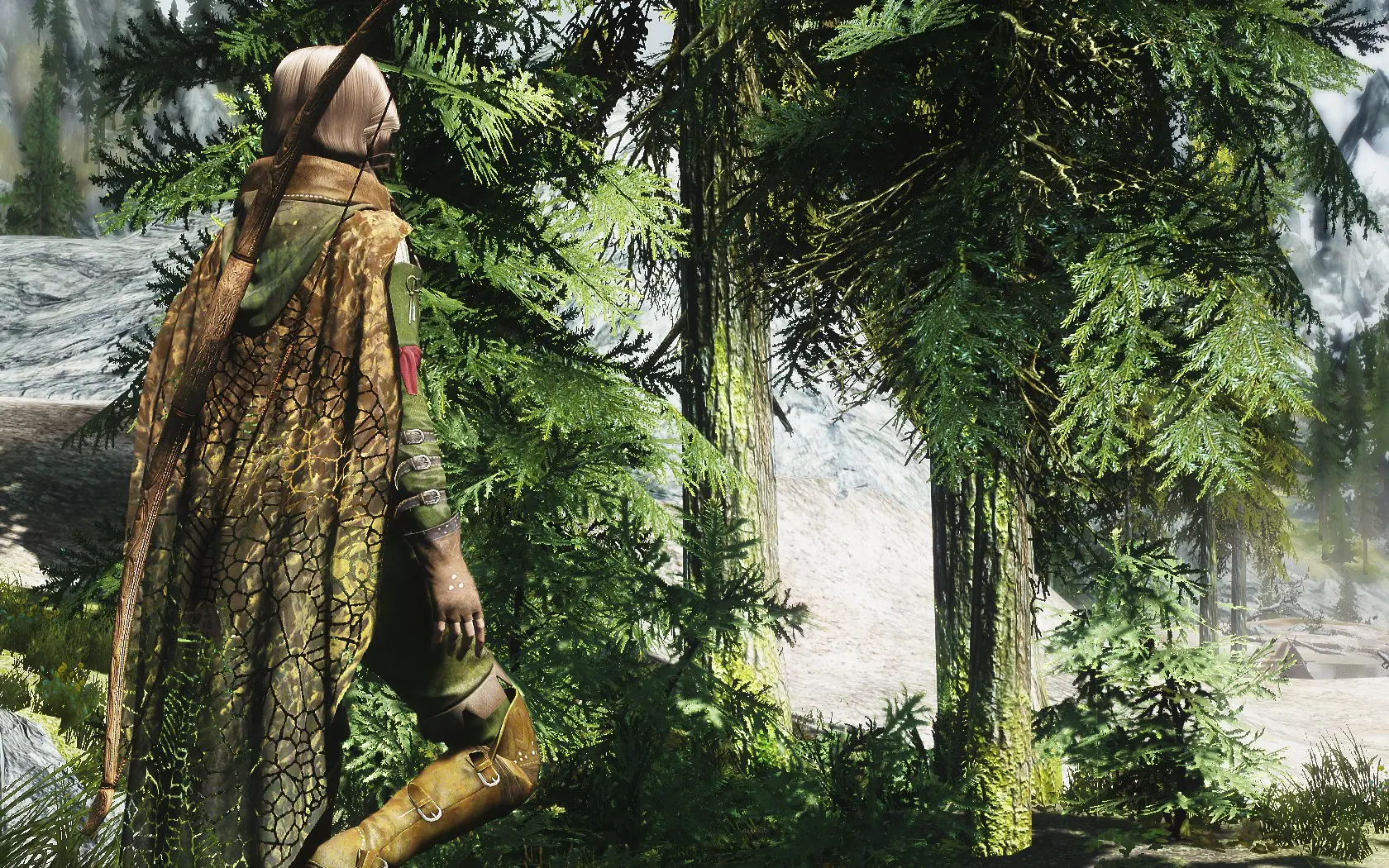 Camouflage at Skyrim Nexus - mods and community