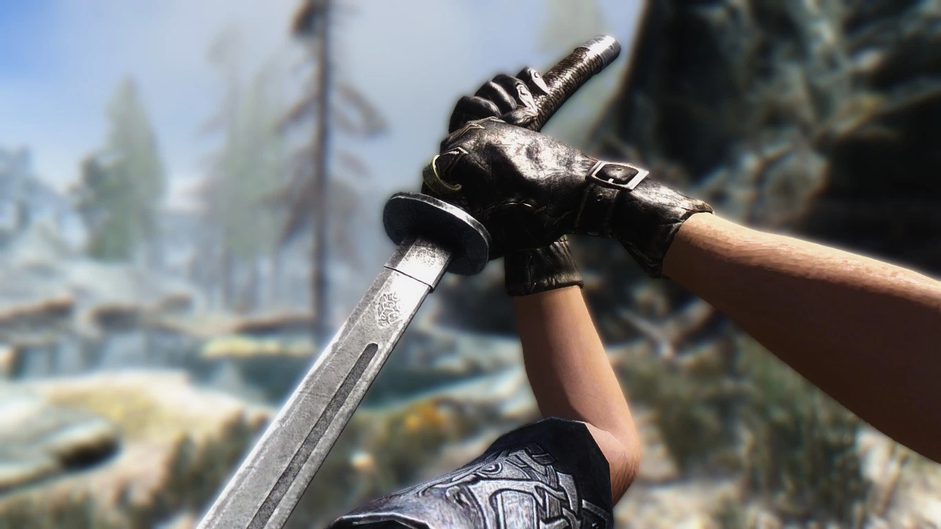 Live The Screenshot Blocking Practice At Skyrim Nexus Mods And   6554369 1478398555 