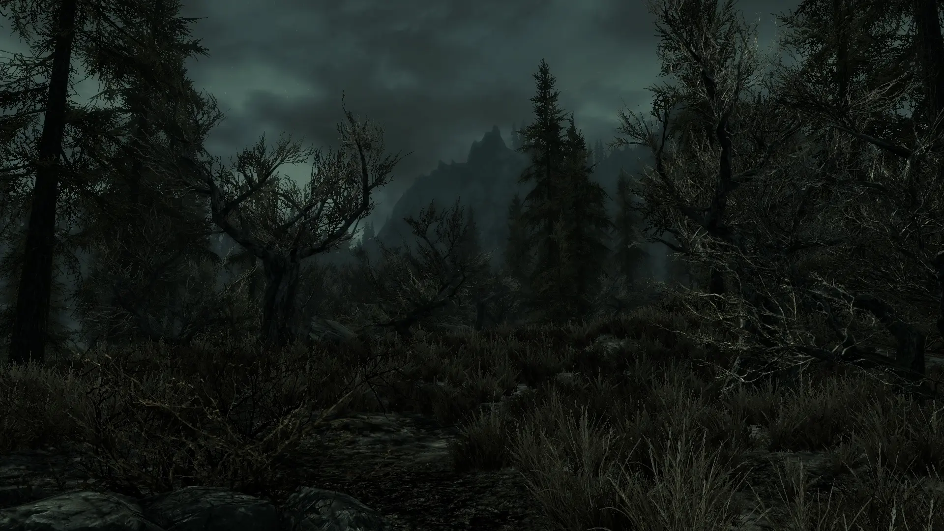 Misty Forest at Skyrim Nexus - Mods and Community