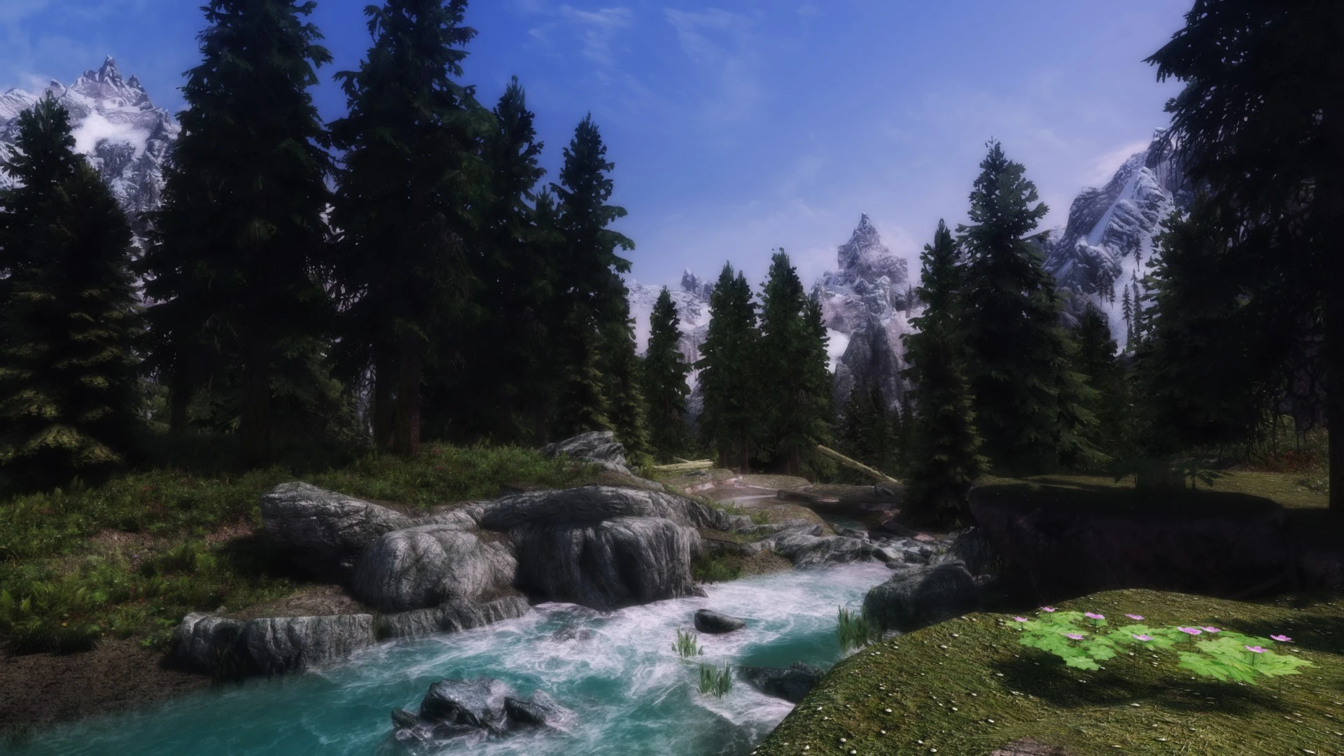 Trees 2 at Skyrim Nexus - Mods and Community