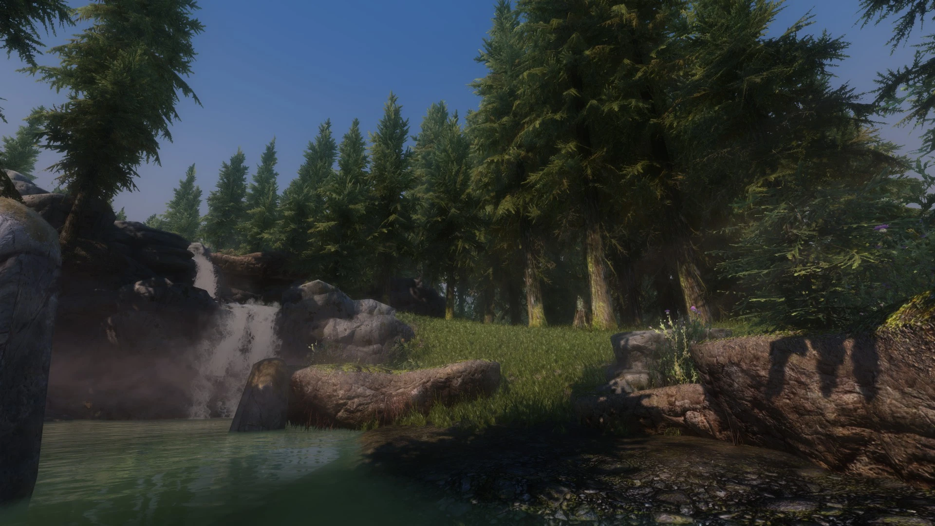 Evergreen Grove at Skyrim Nexus - Mods and Community