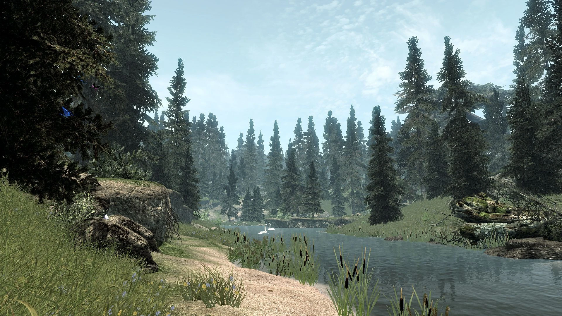 Another shot from the Whiterun hold forest at Skyrim Nexus - Mods and ...