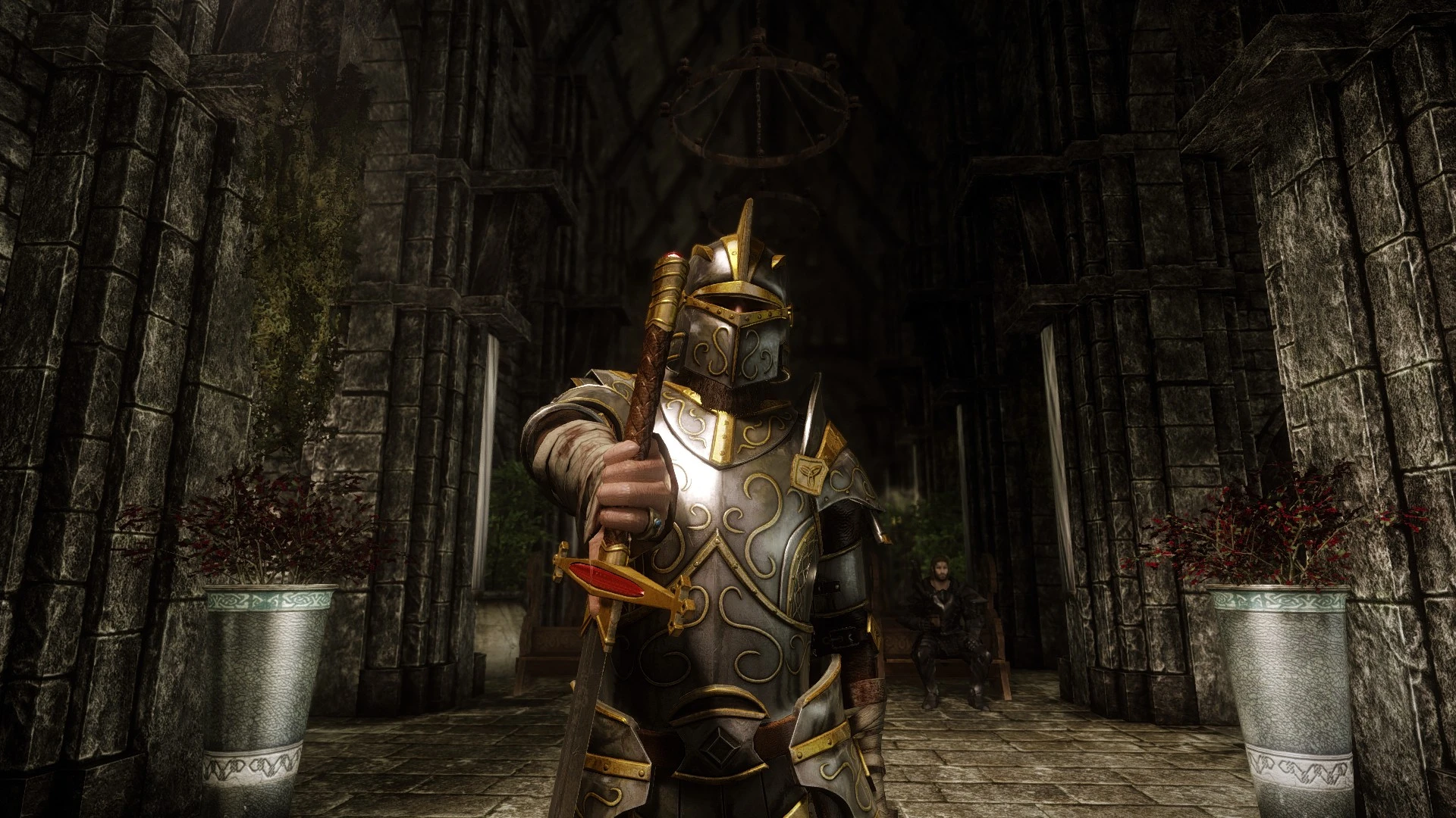 PALADIN At Skyrim Nexus Mods And Community   6595293 1463169890 