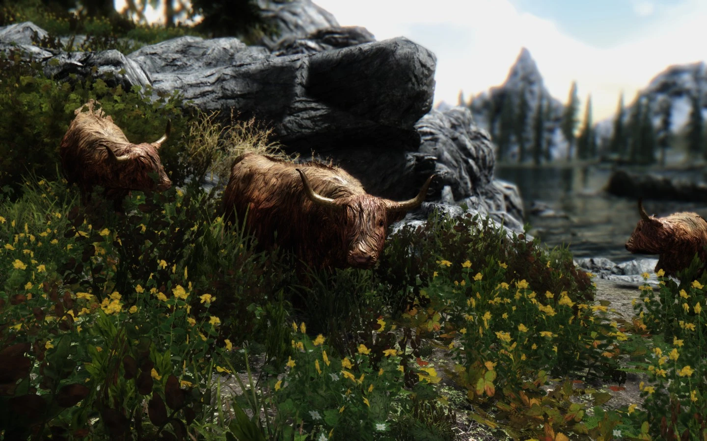 Skyrim being a cow прохождение