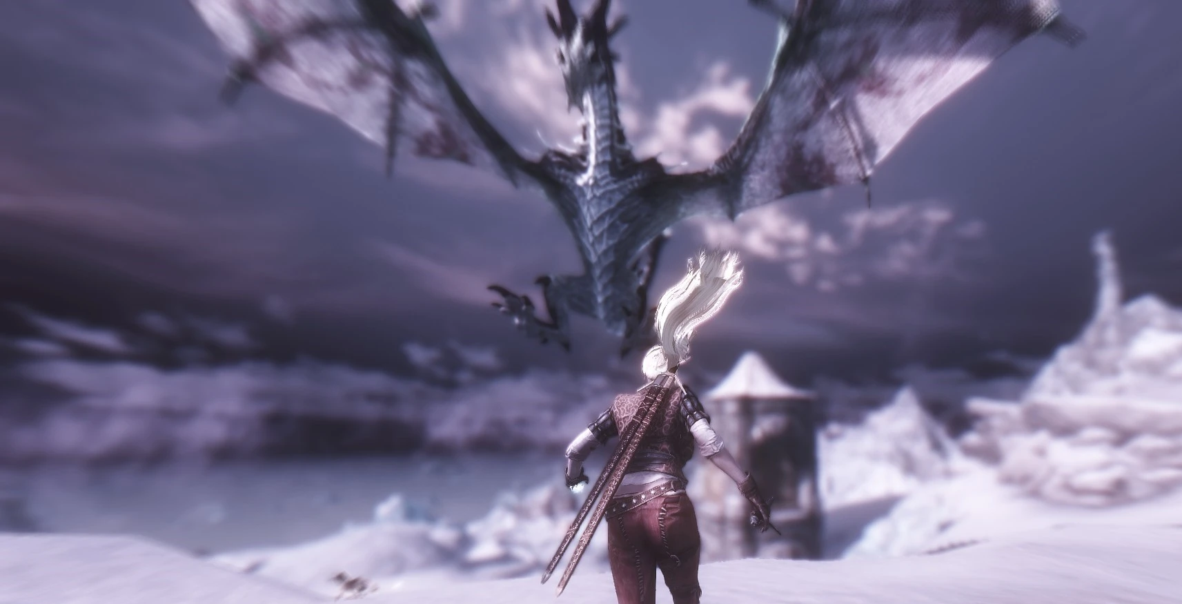 the witcher series dragon