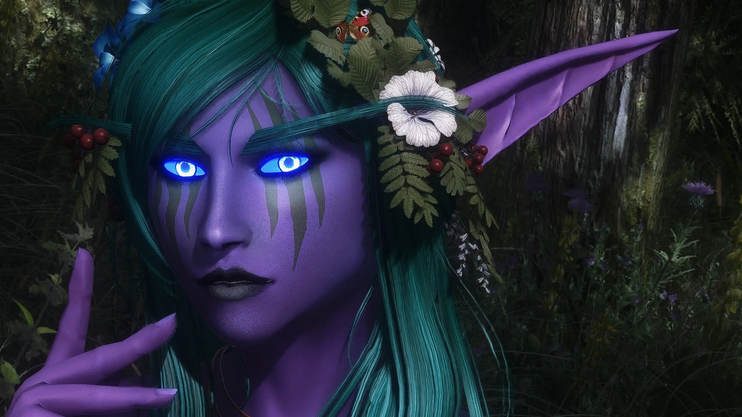 Aureylian Night Elf