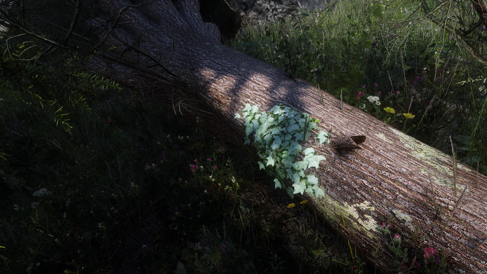 skyrim skill tree mod skyrim skill tree mod