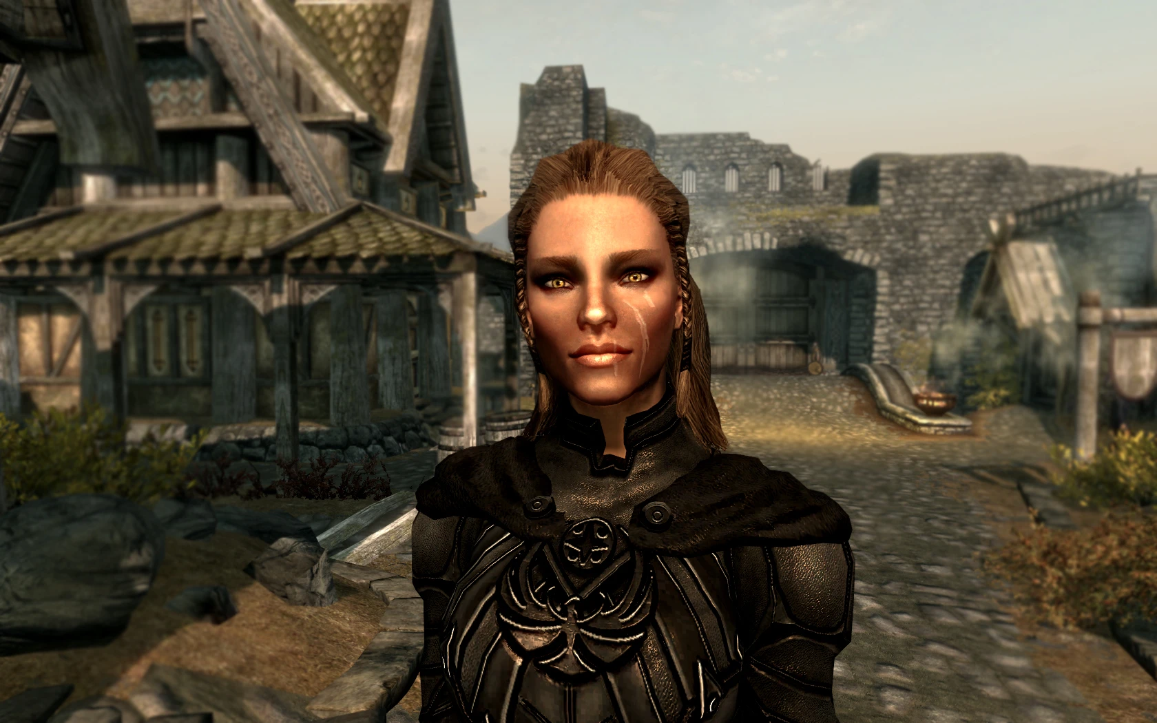 My Companion At Skyrim Nexus Mods And Community   807307 1325548329 