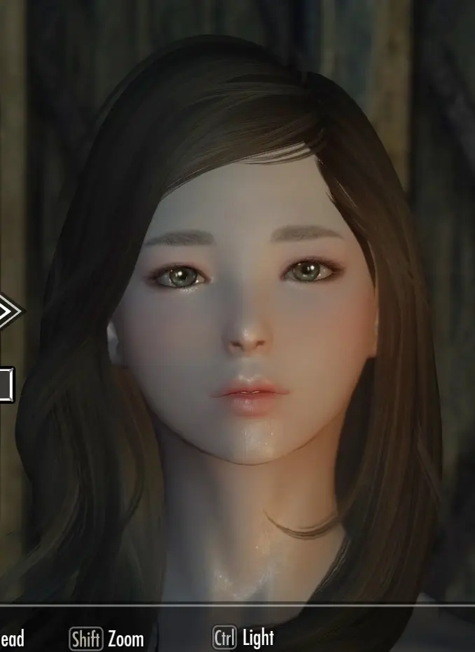 fallout 4 asian face