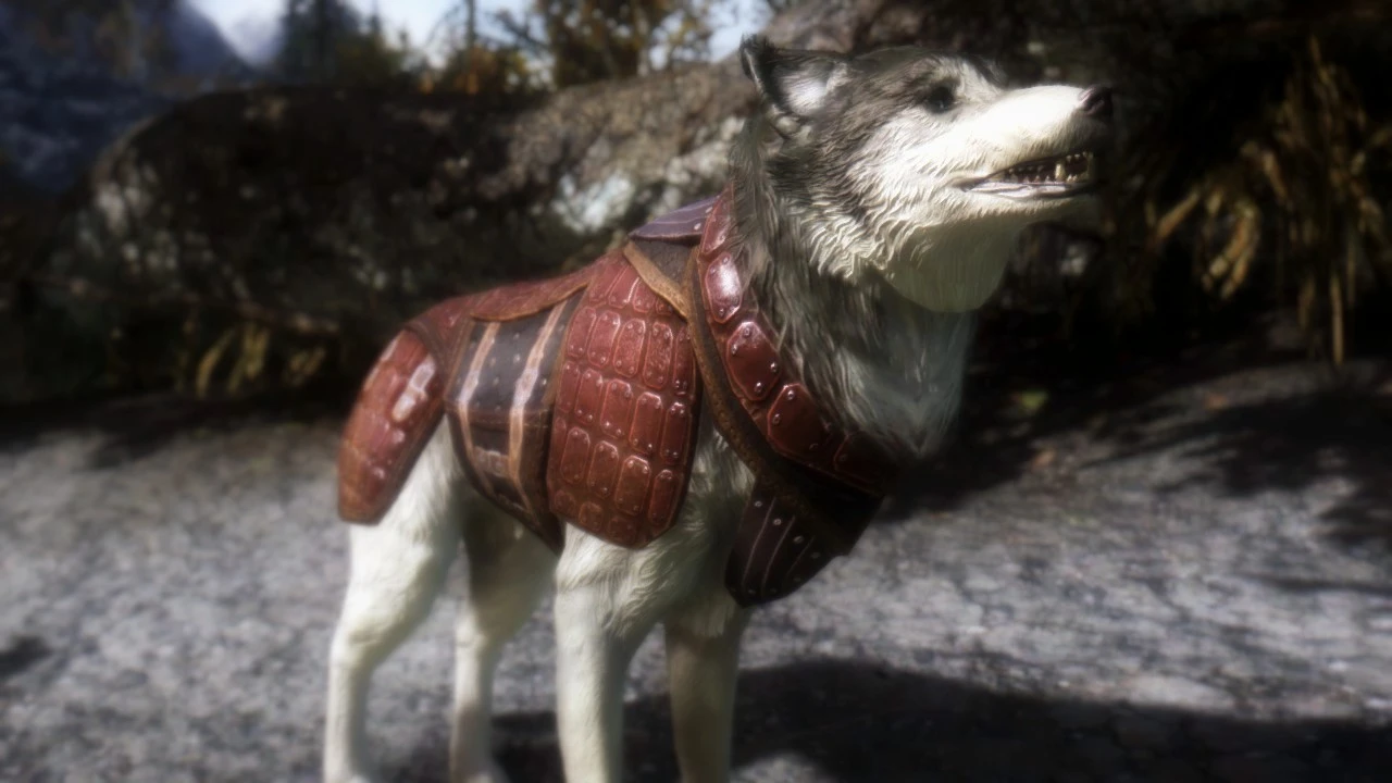 How To Get A Dog In Skyrim