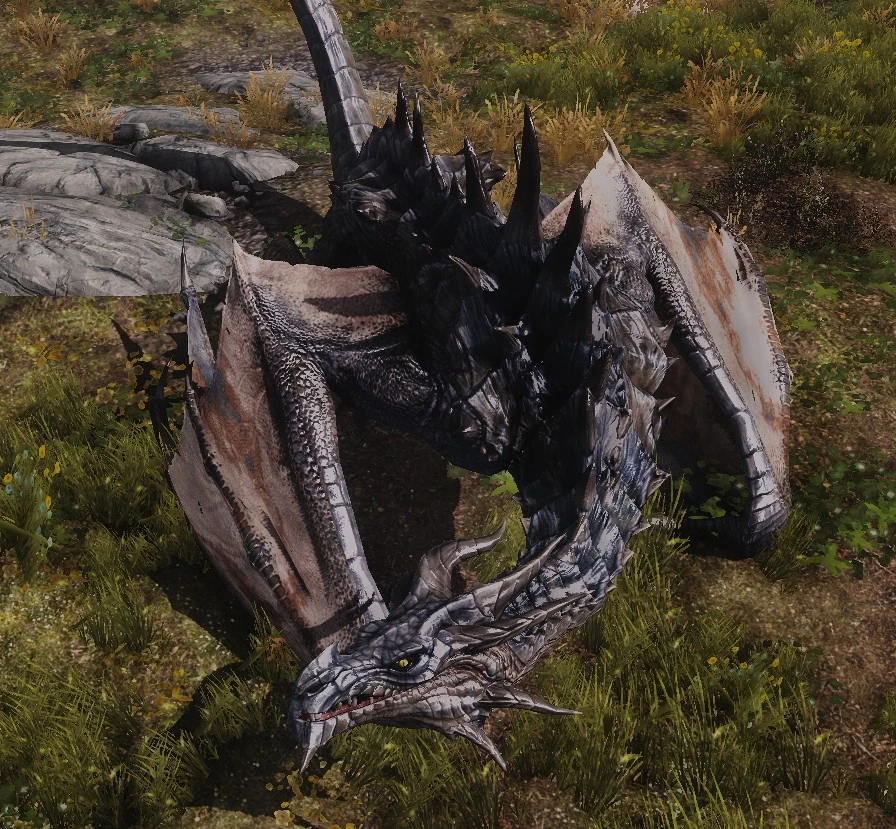 Bellyaches New Dragon Species At Skyrim Nexus Mods And