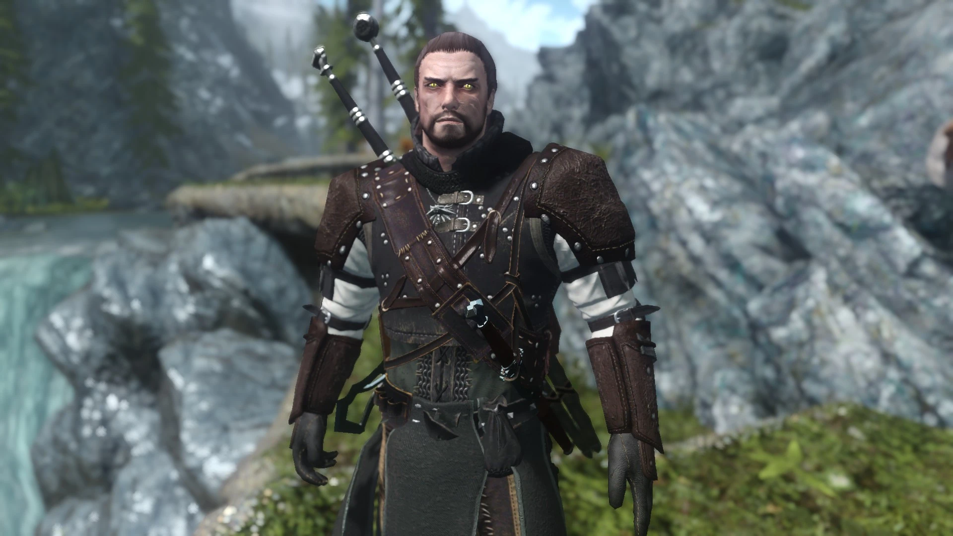 Skyrim the witcher 3 armors фото 6