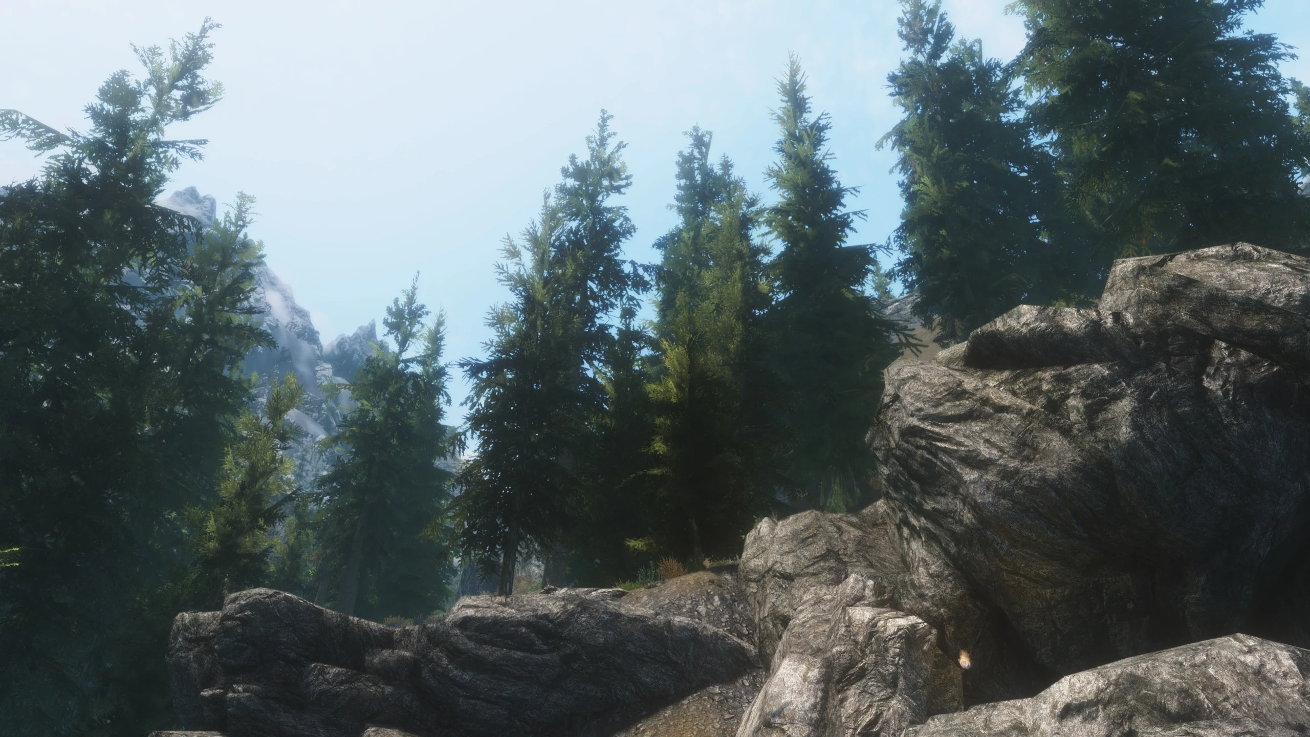 Falkreath at Skyrim Nexus - Mods and Community