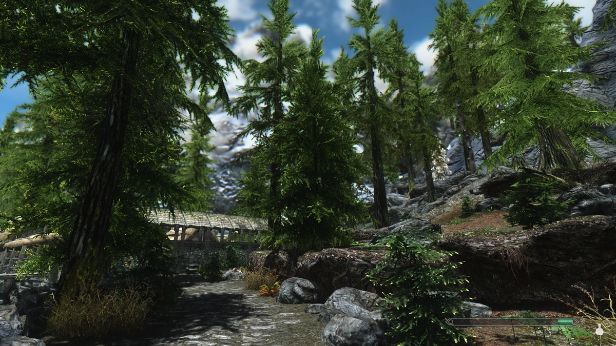 Realvision enb для skyrim как установить