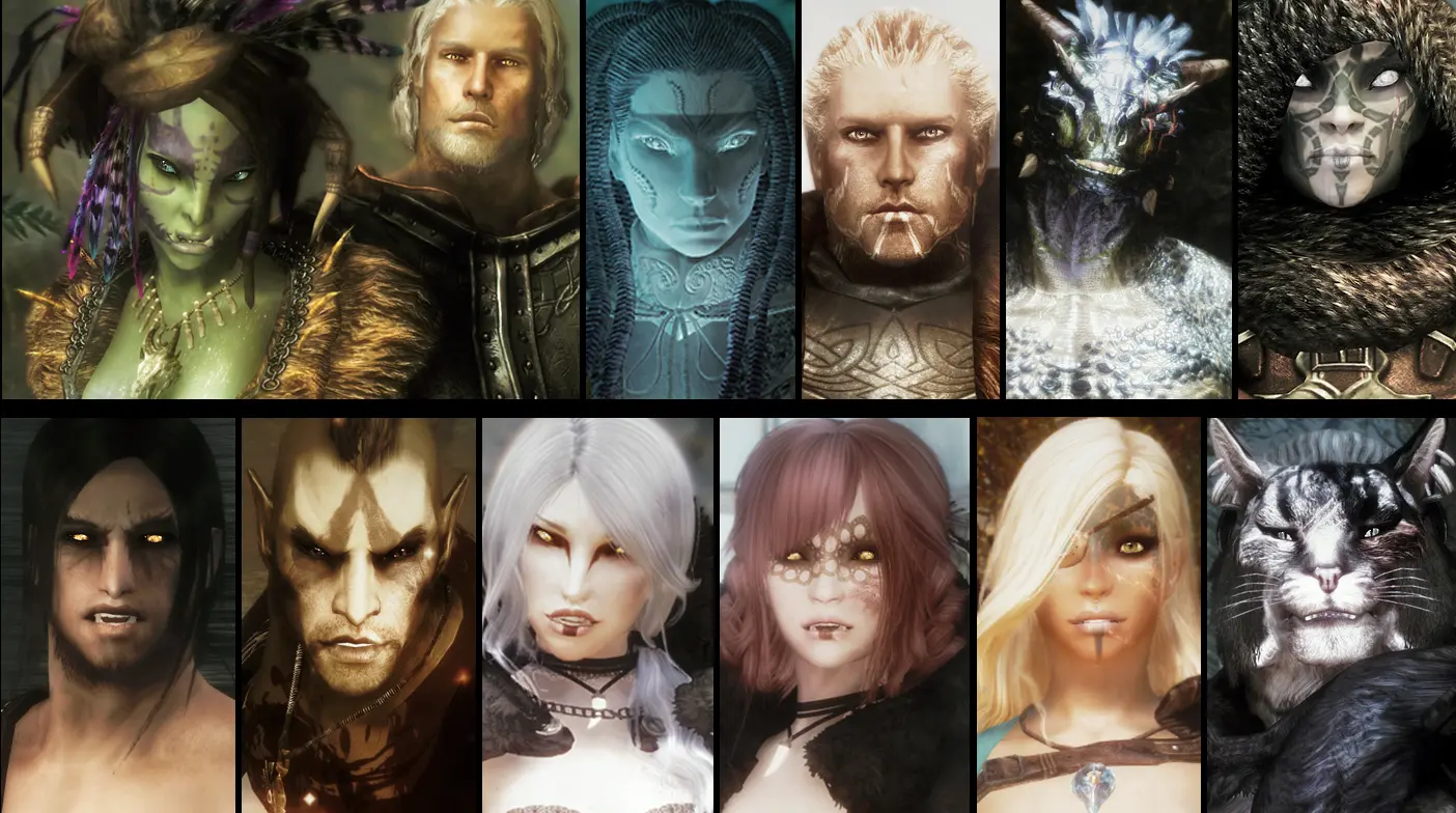 Skyrim character mods