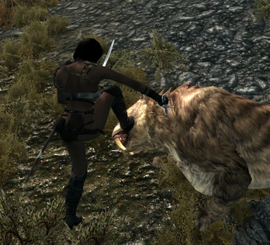 The Hammerfell Boot upside the Head Parry