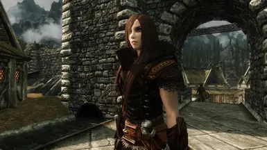 Dragon Age 2 Champion Armor at Skyrim Nexus - Mods and Community