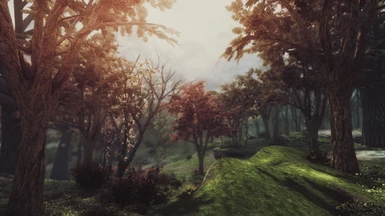 update forthcoming for Dark Forests of Skyrim