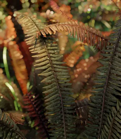 3D Sword Ferns