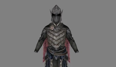 Vampire Knight Armor